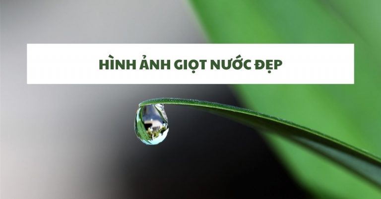 100+ Hình nền, ảnh giọt nước đẹp full HD cho máy tính, điện thoại