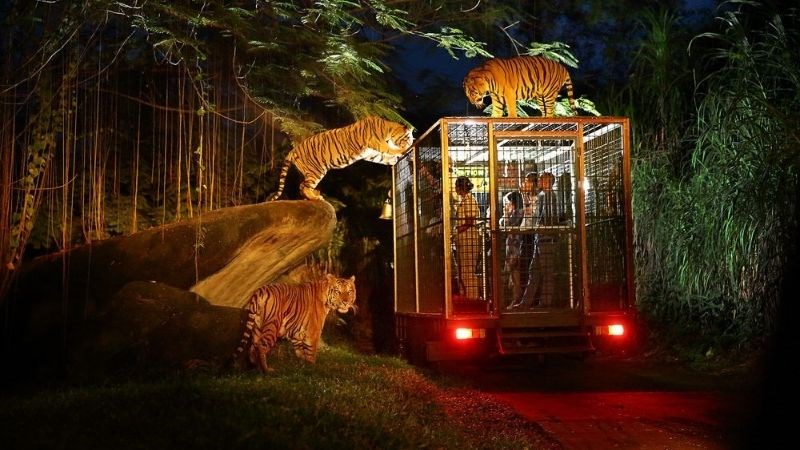 Vườn thú Night Safari