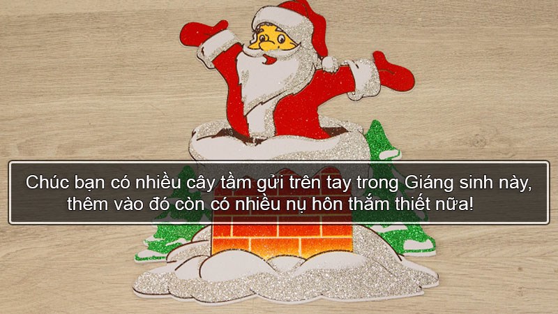 Chúc bạn có nhiều cây tầm gửi trên tay trong Giáng sinh này, thêm vào đó còn có nhiều nụ hôn thắm thiết nữa!