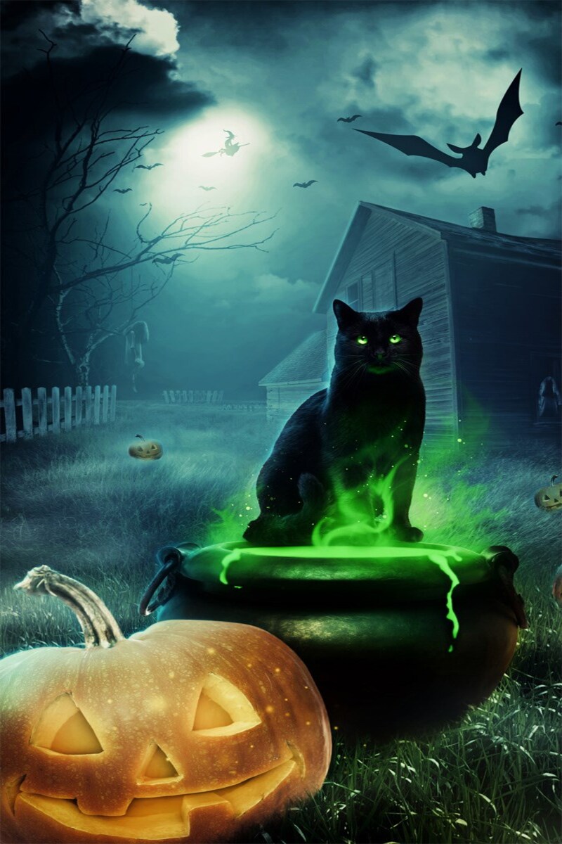 Hình Halloween cho điện thoại- 8