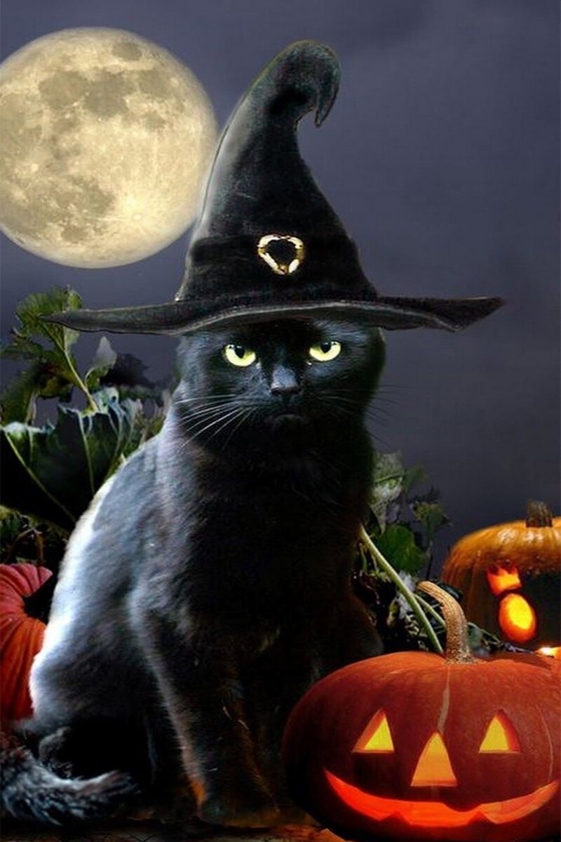 Hình Halloween cho điện thoại- 15