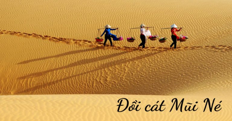 Kinh nghiệm khám phá Đồi Cát Mũi Né chi tiết nhất