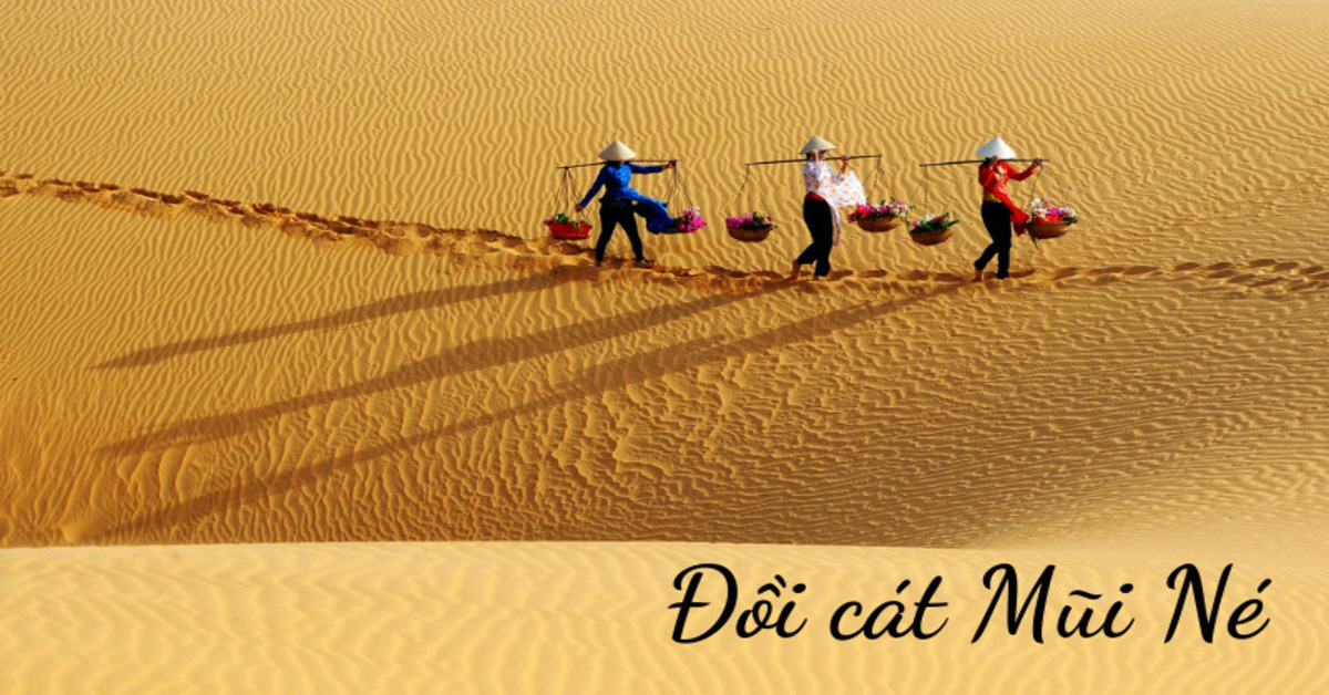 Kinh nghiệm khám phá Đồi Cát Mũi Né chi tiết nhất
