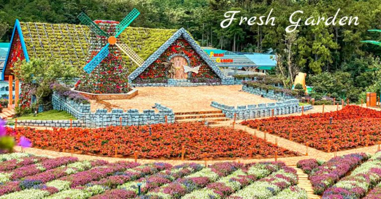 Khám phá Fresh Garden - “Vườn hoa Châu Âu” ở Đà Lạt