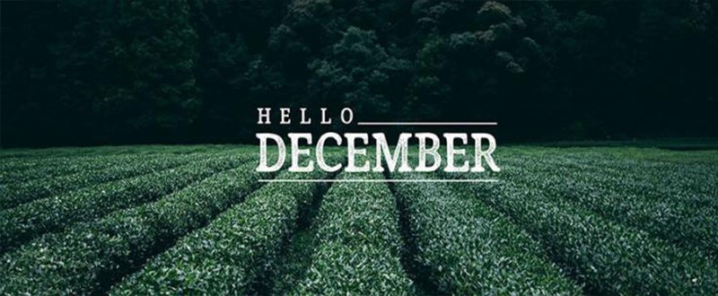 Ảnh bìa Facebook có chữ