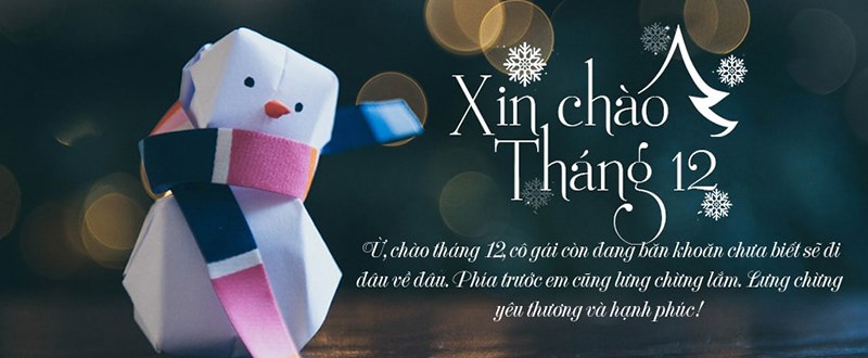 Ảnh bìa Facebook có chữ