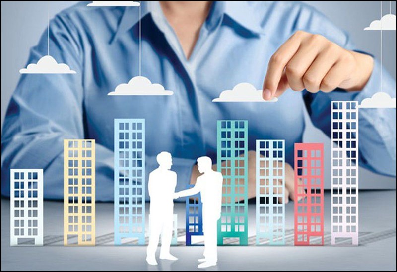 Để phát huy hết khả năng của mình Sư Tử cần phải có được môi trường thuận lợi