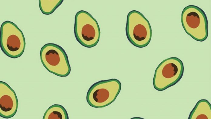 Tổng hợp 100+ hình nền quả bơ cute, dễ thương – VANHOADOISONG