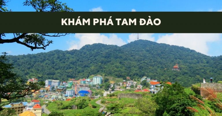 Kinh nghiệm khám phá Tam Đảo: Ăn gì, chơi gì, ở đâu?