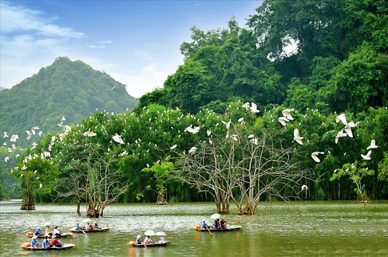 Khám phá vườn chim Thung Nham