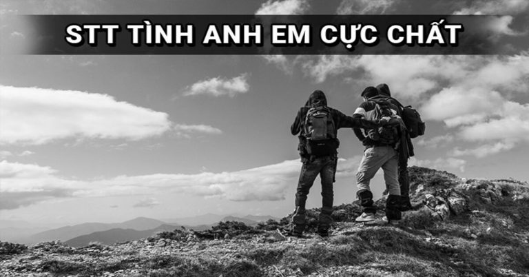 Những câu nói hay về tình anh em, stt tình anh em cực chất