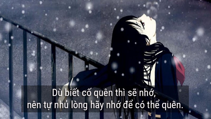 Dù biết cố quên thì sẽ nhớ, nên tự nhủ lòng hãy nhớ để có thể quên.