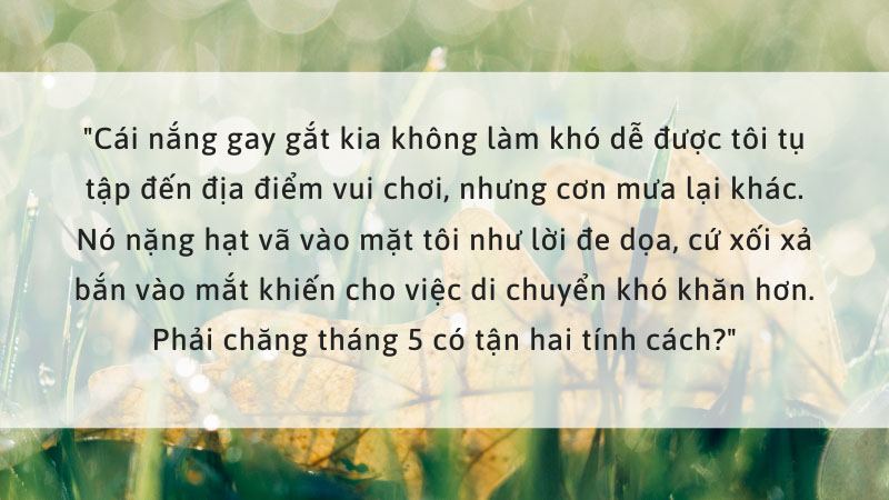 Câu nói hay về tháng 5