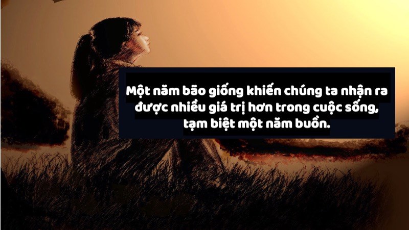 Stt hay chào tạm biệt năm cũ