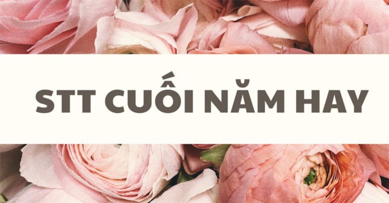 Stt cuối năm hay - Câu nói hay cho những ngày cuối năm bận rộn