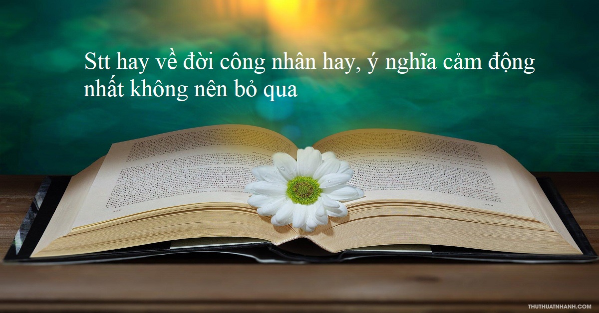 Stt hay về đời công nhân hay, ý nghĩa cảm động nhất không nên bỏ qua