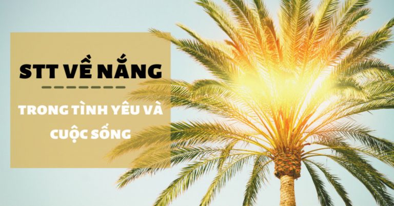 Stt về nắng hay, độc nhất trong tình yêu và cuộc sống