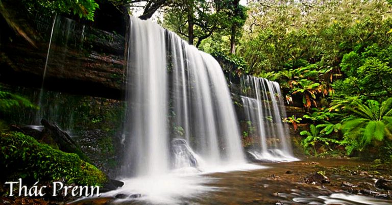Kinh nghiệm khám phá thác Prenn: Ở đâu, giá vé, chơi gì, ăn gì?