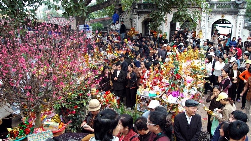 Traditional Festival