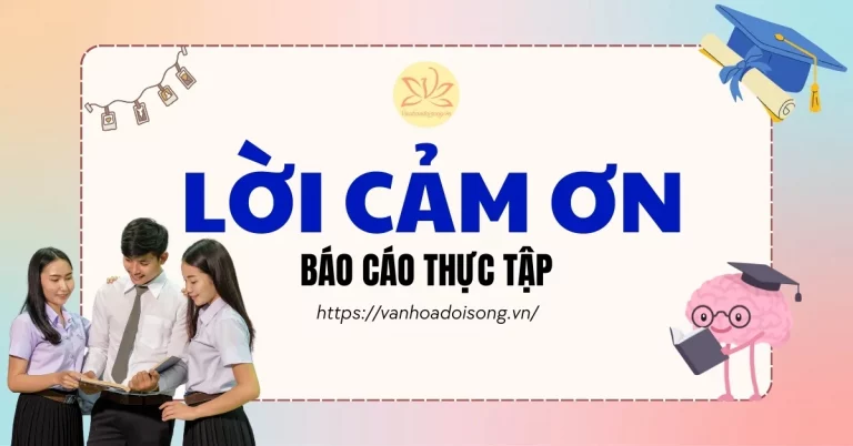 15+ mẫu lời cảm ơn báo cáo thực tập khiến giảng viên ấn tượng nhất
