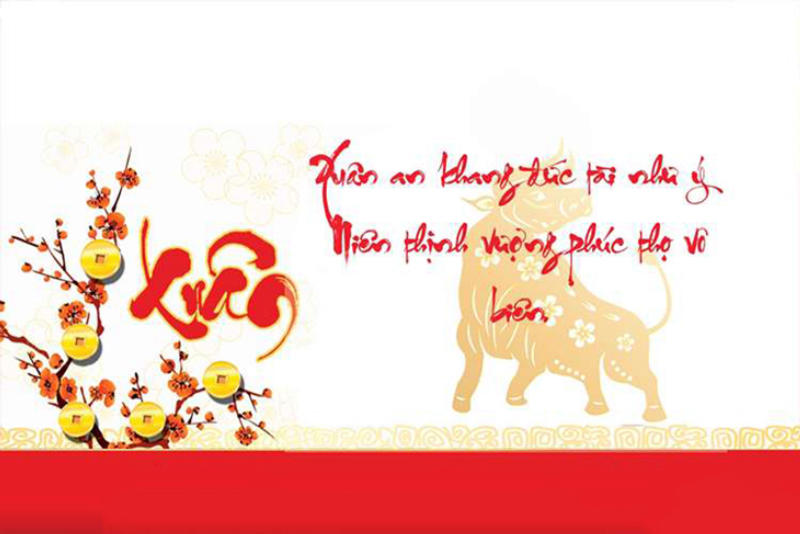 Bài thơ chúc Tết hài hước, vui nhộn