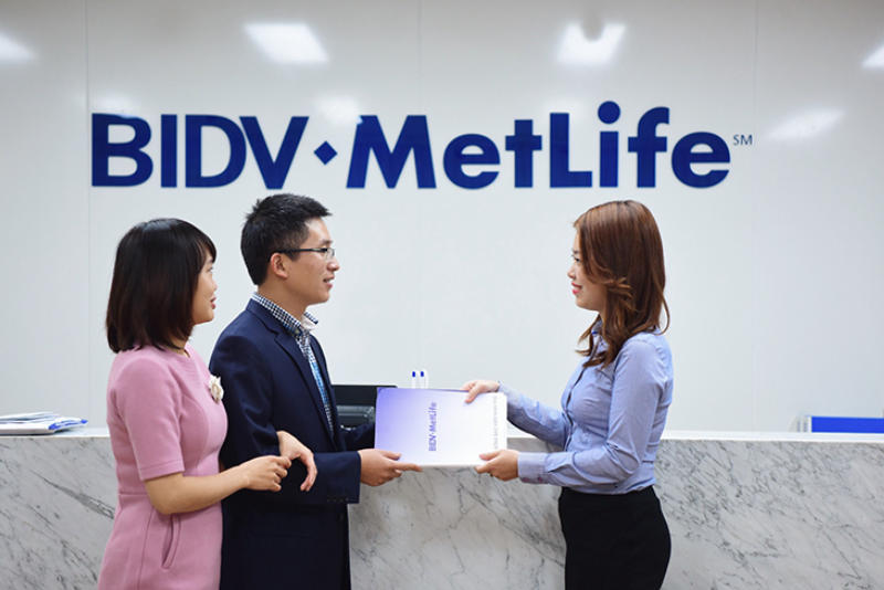 Lĩnh vực bảo hiểm