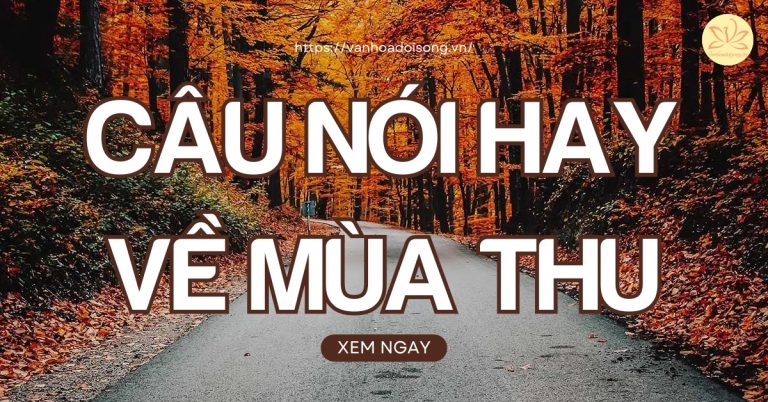 Câu nói hay về mùa thu buồn xúc động đến nao lòng