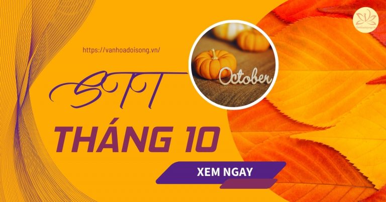 Stt tháng 10, câu nói hay về tháng 10 yêu thương hay, ý nghĩa