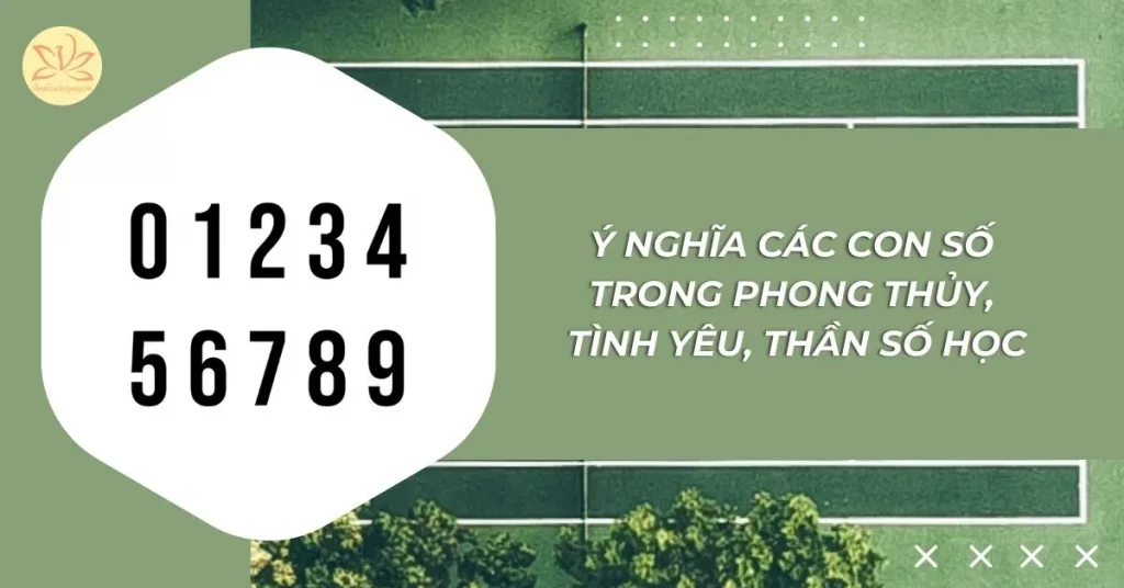 ý nghĩa các con số