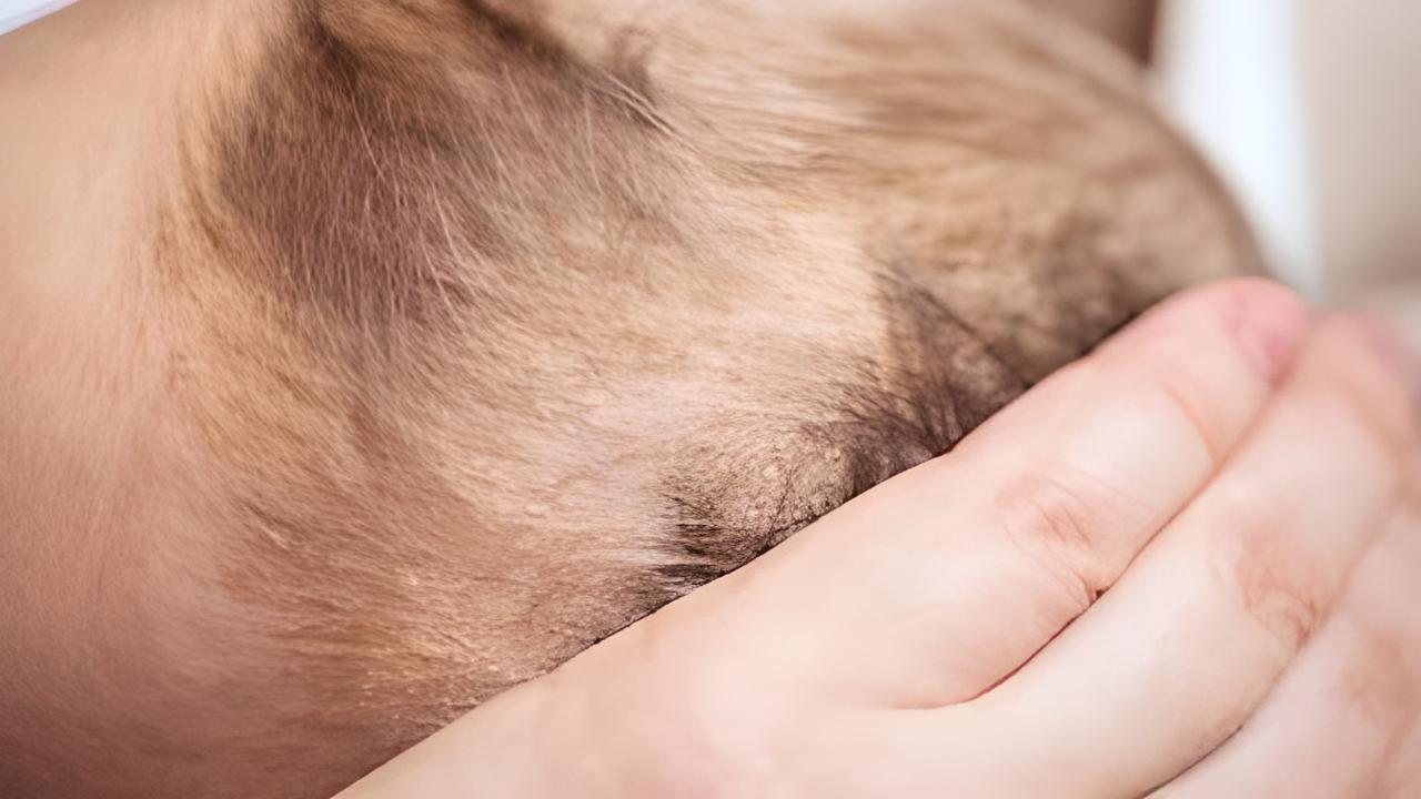 giảm tình trạng "cứt trâu" ở bé