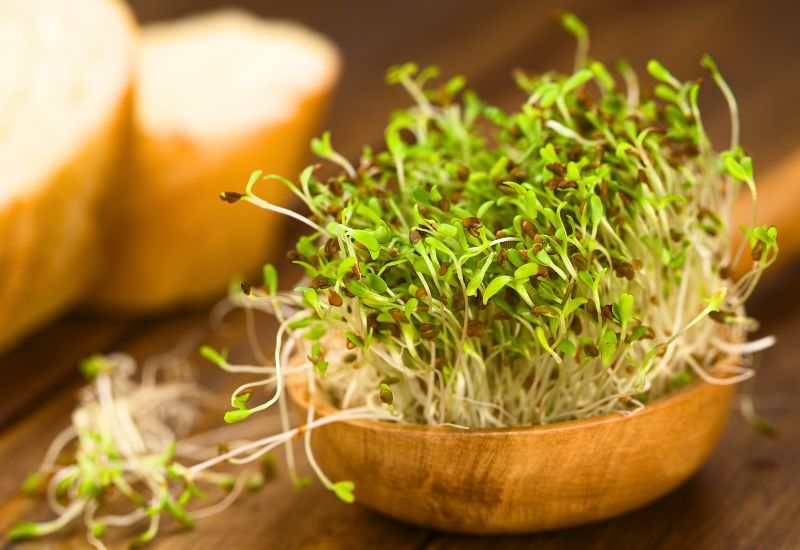 Rau mầm, giá đỗ