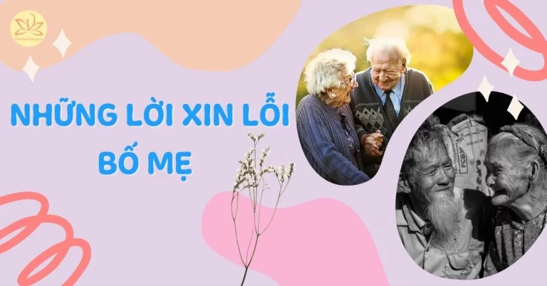 Những lời xin lỗi bố mẹ