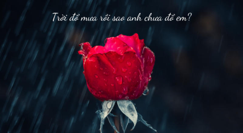 Trời đổ mưa rồi sao anh chưa đổ em?
