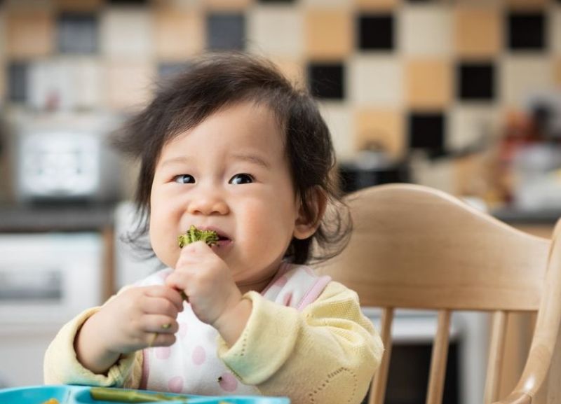 Bắt đầu cho bé ăn rau bằng 1 cuộc chiến là hết sức sai lầm Bắt đầu cho bé ăn rau bằng 1 cuộc chiến là hết sức sai lầm