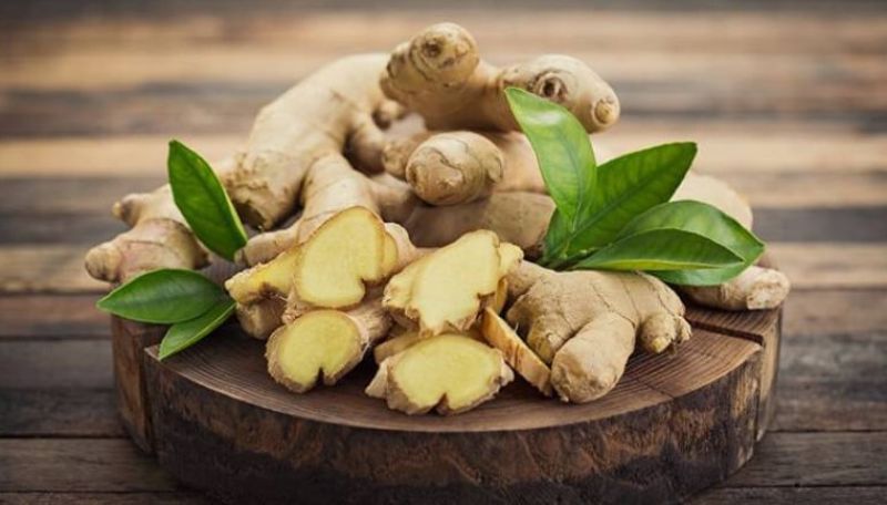 Đã có những nghiên cứu chứng minh lợi ích của gừng Đã có những nghiên cứu chứng minh lợi ích của gừng