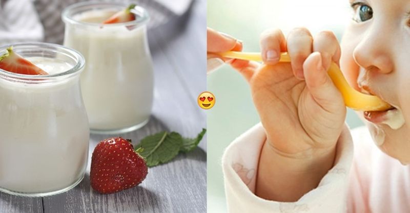 Ăn sữa chua lúc đói khiến vi khuẩn có lợi bị tiêu diệt Ăn sữa chua lúc đói khiến vi khuẩn có lợi bị tiêu diệt