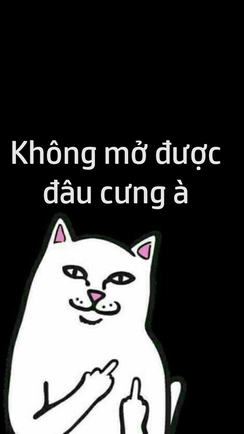 Hình nền \