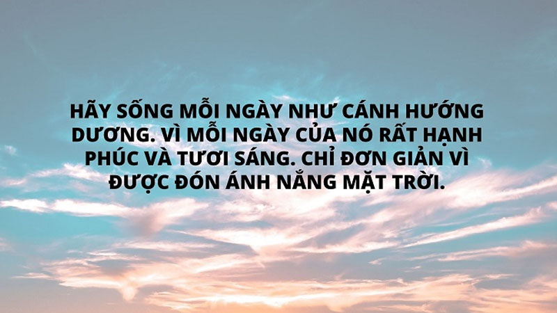Hãy sống mỗi ngày như cánh hướng dương