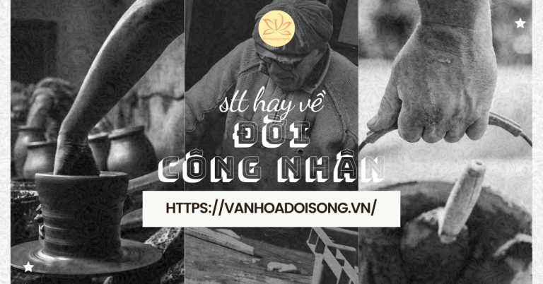 stt đời công nhân