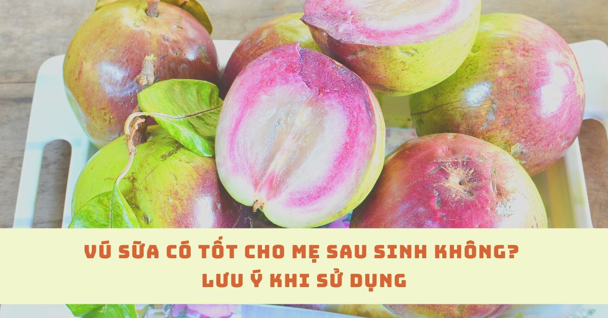 vú sữa có tốt cho mẹ sau sinh
