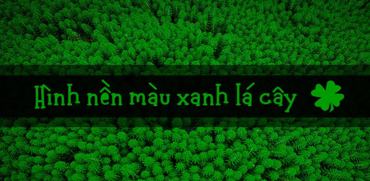 Màu Xanh Lá Cây Lá Hình Nền Hdmàu Xanh Lá Câyhình ảnh Miễn Phí Miễn Phí  Tải Về