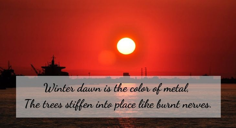 Winter dawn is the color of metal, The trees stiffen into place like burnt nerves.