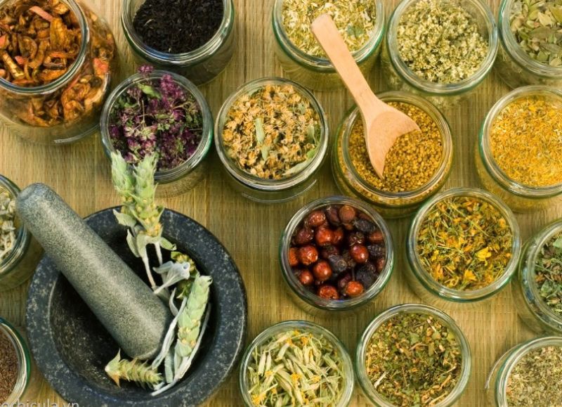 Ẩm thực Ê đê gây ấn tượng với nhiều gia vị thảo dược khác nhau Ẩm thực Ê đê gây ấn tượng với nhiều gia vị thảo dược khác nhau