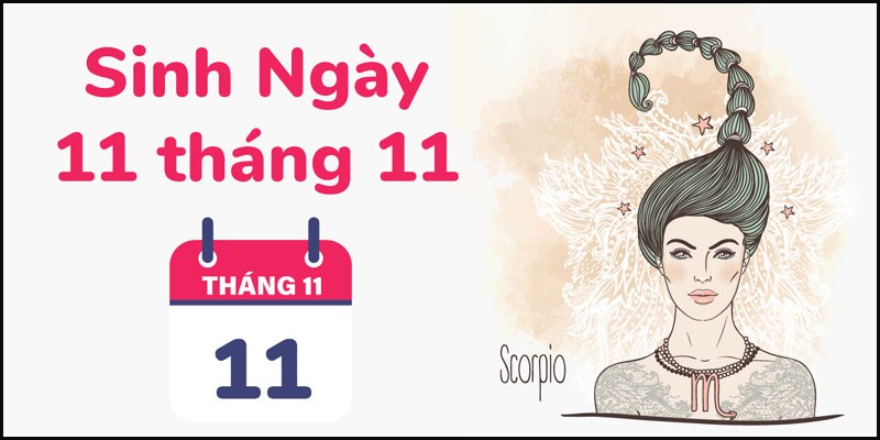 Giai đoạn 2: (04/11 - 13/11)