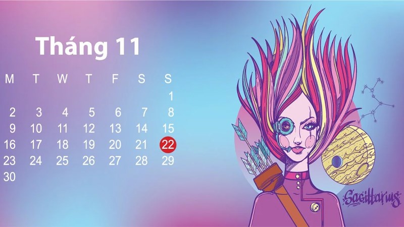 Giai đoạn 3: (14/11 - 22/11)