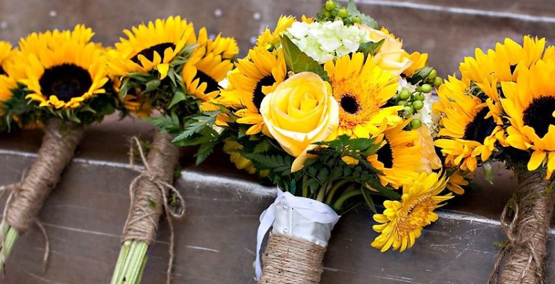Để cắm hoa hướng dương đẹp đầu tiên bạn phải lựa chọn những cành to, chắc Để cắm hoa hướng dương đẹp đầu tiên bạn phải lựa chọn những cành to, chắc