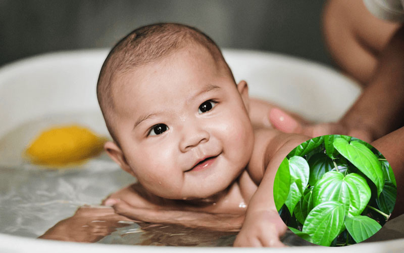 Có thể trị hăm cho bé bằng lá trầu không