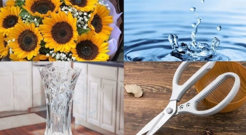 Một số vật dụng để cắm hoa hướng dương Một số vật dụng để cắm hoa hướng dương