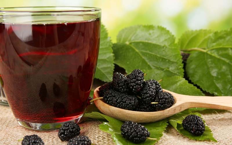 Nước lá dâu tằm có nhiều hoạt chất tốt trong việc chữa trị rôm sảy