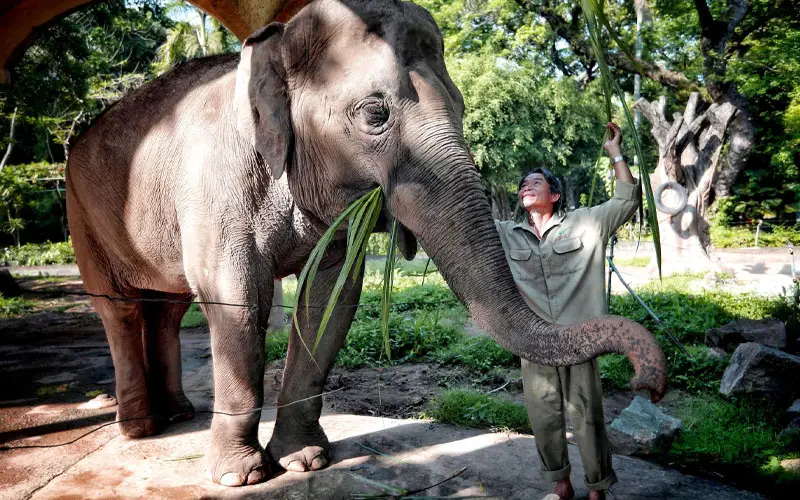 Thảo Cầm Viên là nơi vui chơi, vừa là nơi bảo tồn động thực vật khá lâu đời
